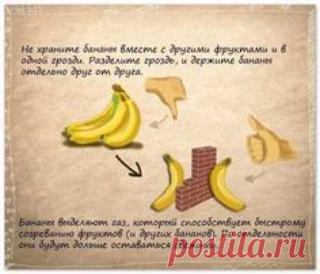 Полезные советы (14 шт)