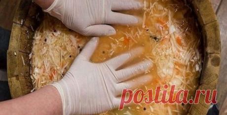 Diennakti burkā skābēti kāposti – nepārspējama recepte! - beFIT.lv