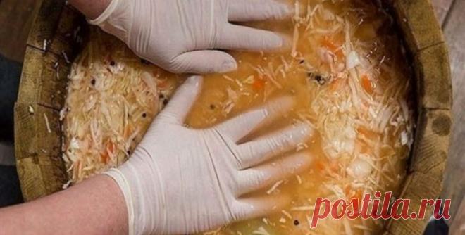 Diennakti burkā skābēti kāposti – nepārspējama recepte! - beFIT.lv