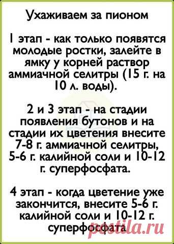 Комментарии к теме