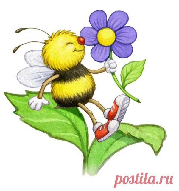 ПОДБОРКА из 34 ЗАГАДОК ДЛЯ ДЕТЕЙ 3Х - 4Х ЛЕТ