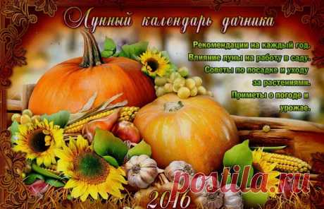 ЛУННЫЙ ПОСЕВНОЙ КАЛЕНДАРЬ  - 2016 !!!  **Подробный, влияние Луны на посадку и урожай.