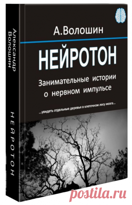 НЕЙРОТОН. Занимательные истории о нервном импульсе.
Автор:Александр Иванович Волошин

• В этой книге мы с вами исследуем эволюцию человеческих представлений и заблуждений о природе нервного импульса. •Только научные факты, никакой эзотерики. 
• Вы узнаете откуда в нервной системе электричество, о взаимодействии нейронов, о нейронных сетях и об искусственном интеллекте. 
• Впервые на русском языке современные неожиданные гипотезы сущности нервного импульса.
