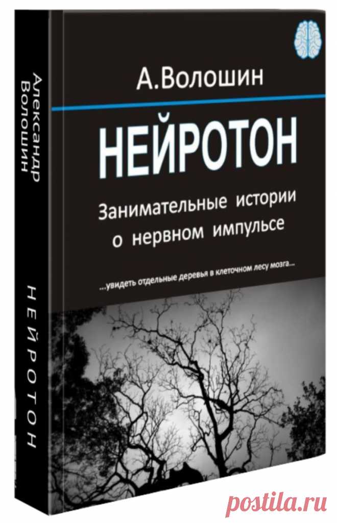 НЕЙРОТОН. Занимательные истории о нервном импульсе.
Автор:Александр Иванович Волошин

• В этой книге мы с вами исследуем эволюцию человеческих представлений и заблуждений о природе нервного импульса. •Только научные факты, никакой эзотерики. 
• Вы узнаете откуда в нервной системе электричество, о взаимодействии нейронов, о нейронных сетях и об искусственном интеллекте. 
• Впервые на русском языке современные неожиданные гипотезы сущности нервного импульса.