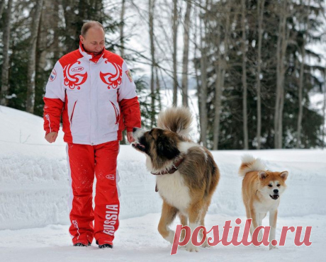 Владимир Путин и его собаки
