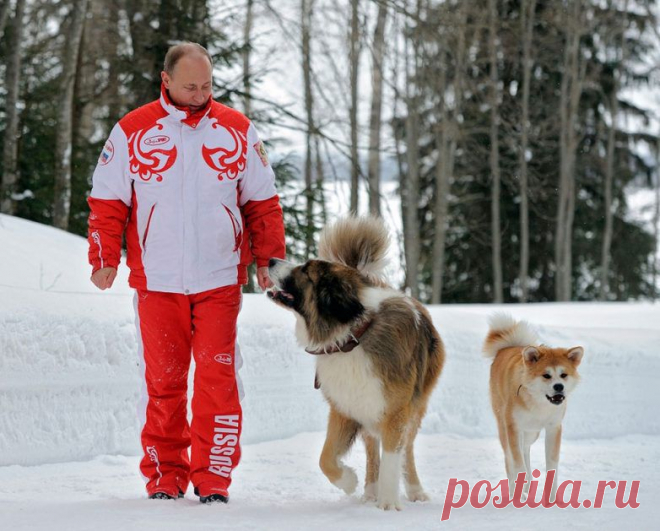 Черновик | ДНЕВНИК Vlad53