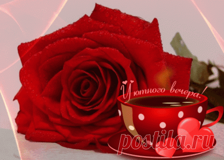 (770×550)