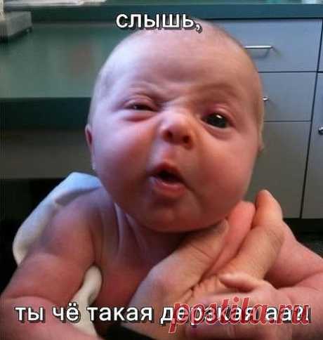 Не поняла, что ли?