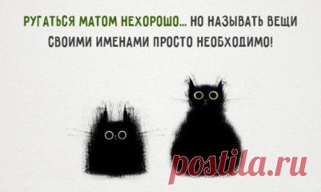 Позитивные советы / Приколы