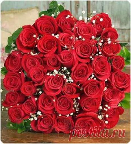 Живые фотографии – Сообщество – Google+