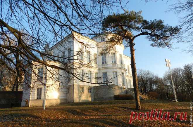 Дворец-музей и парк в Богородицке – тульский Петергоф | Дневник успешной мамочки