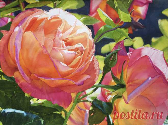 Roses - Life in Full ColorLife in Full Color