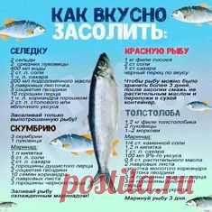 (1100) Pinterest