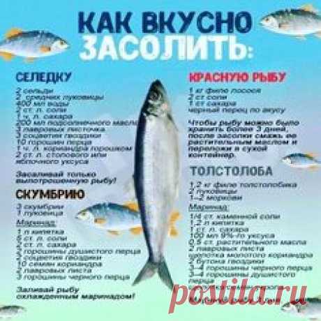 (1100) Pinterest