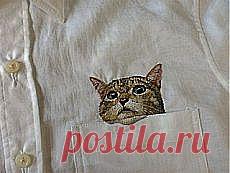 Карманный кот