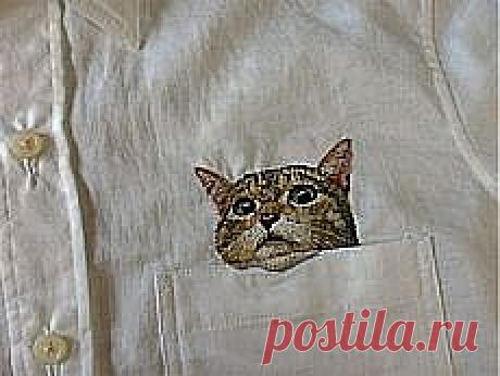 Карманный кот