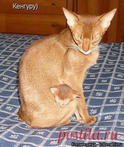 Интересные новости