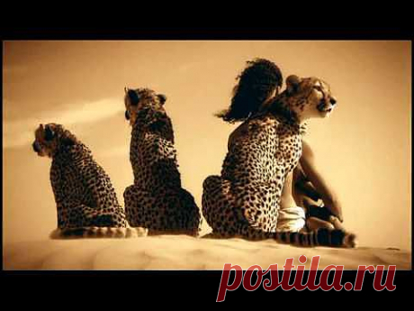 ДиДюЛя -Лейла