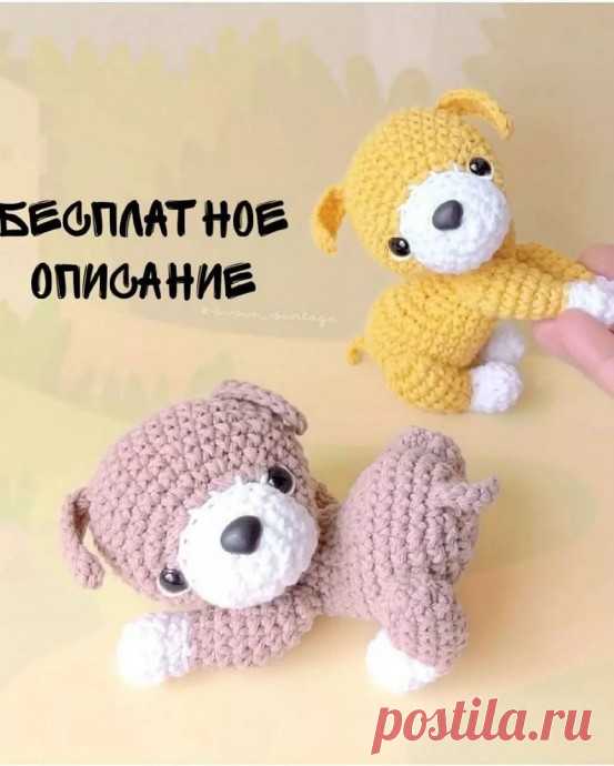 МК по маленьким щенкам