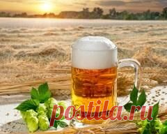 5 августа отмечается 