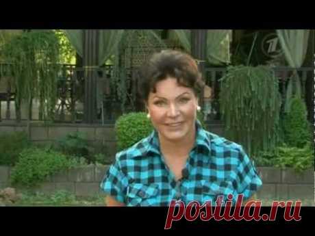 советы садоводу - Самое интересное в блогах