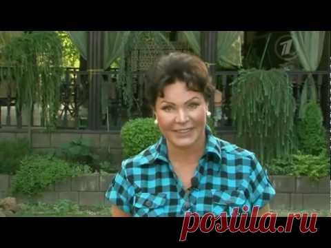 советы садоводу - Самое интересное в блогах