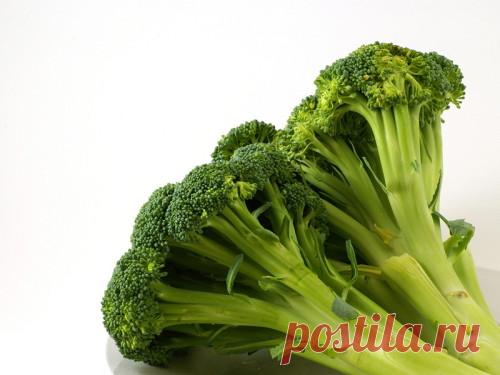 Как выращивать брокколи. Секреты посадки и ухода