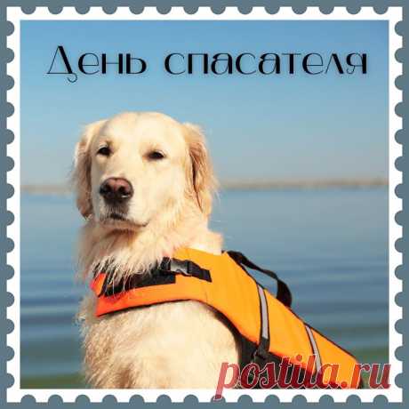 В День спасателя желаю:
Сил, здоровья и удачи,
И не будет пусть проблем.
Ты спасатель, это значит,
Что ты справишься со всем!