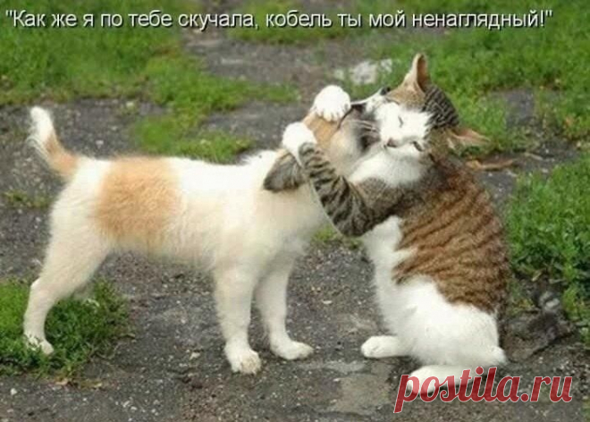 Интересные новости