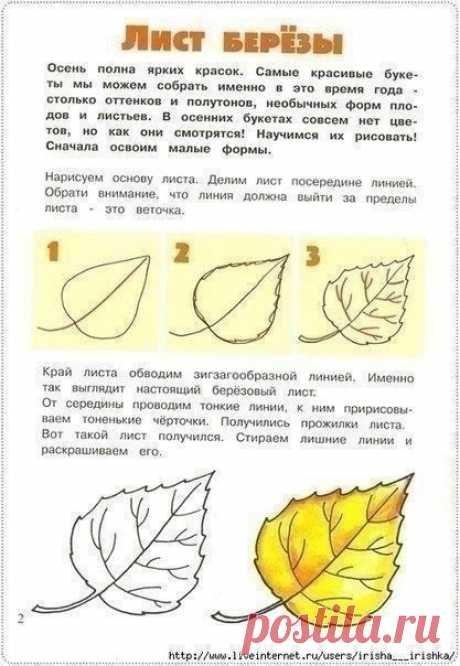 Рисуем самые разные осенние листья Рисуем самые разные осенние листьяБлагодаря такому рисованию расширяются познания ребенка и ботанике.