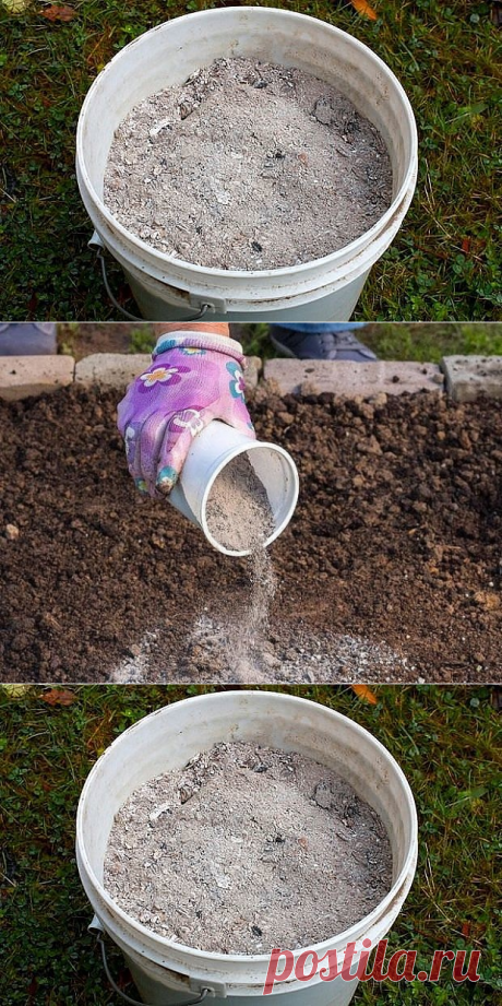 (10) Одноклассники