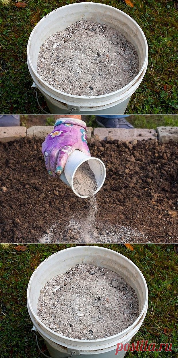 (10) Одноклассники