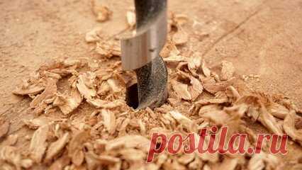 Единственный способ, как избавится от пня на даче без применения химии и корчевания (совет от нашего читателя) | У-Дачный канал советы от Арины | Яндекс Дзен