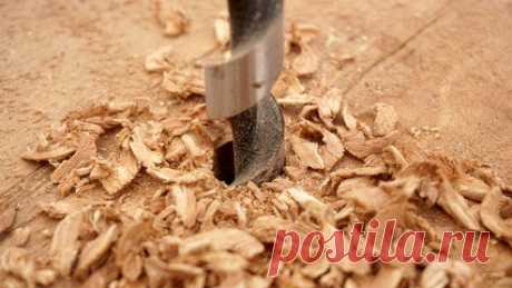 Единственный способ, как избавится от пня на даче без применения химии и корчевания (совет от нашего читателя) | У-Дачный канал советы от Арины | Яндекс Дзен