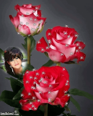 s-43956.gif (320×400)