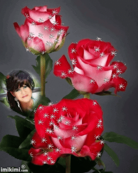 s-43956.gif (320×400)