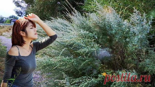 Елена Ваенга и Алена Петровская- Полынь трава