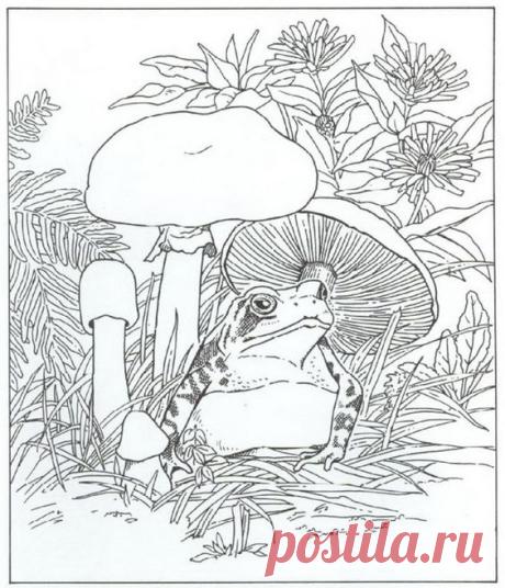 coloring page Nature around the house - Nature around the house | coloring pages