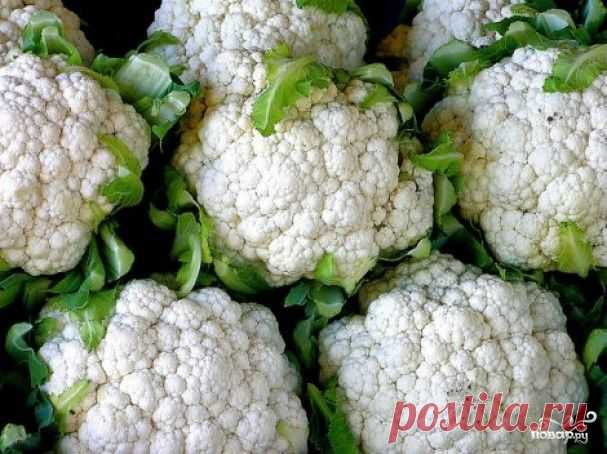 Цветная капуста на зиму в томате - самый вкусный рецепт цветной капусты на зиму! | Ваши любимые рецепты