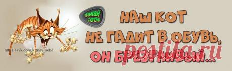 Наш кот не гадит в обувь,
он брезгливый...

#uznay_seba