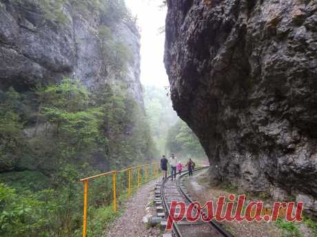 Гуамское ущелье — ущелье в верховьях реки Курджипс, находится на Западном Кавказе в Апшеронском районе Краснодарского края. Ущелье находится между хребтами Гуама и Лагонакский, резко обрываясь четырёхсотметровыми скалами к долине реки Курджипс.