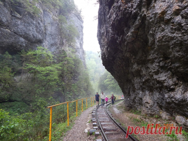 Гуамское ущелье — ущелье в верховьях реки Курджипс, находится на Западном Кавказе в Апшеронском районе Краснодарского края. Ущелье находится между хребтами Гуама и Лагонакский, резко обрываясь четырёхсотметровыми скалами к долине реки Курджипс.