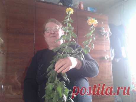 САМАЯ ВРЕДНАЯ
27 лет, , Чернушка