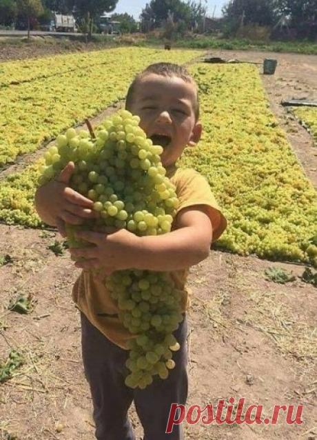 (69) Одноклассники