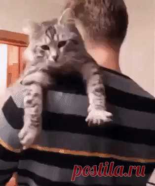 Одноклассники