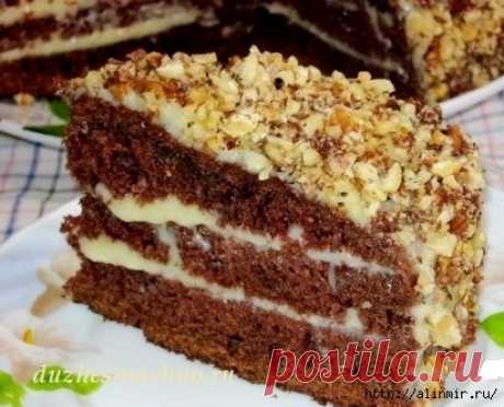 ПЯТИМИНУТНЫЙ ШОКОЛАДНЫЙ ТОРТ НА КЕФИРЕ «ФАНТАСТИКА»
