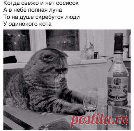 МХК