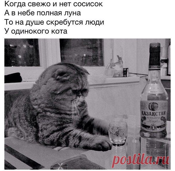 МХК