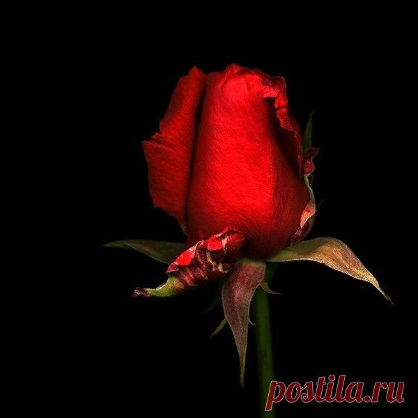 Мой Мир@Mail.Ru