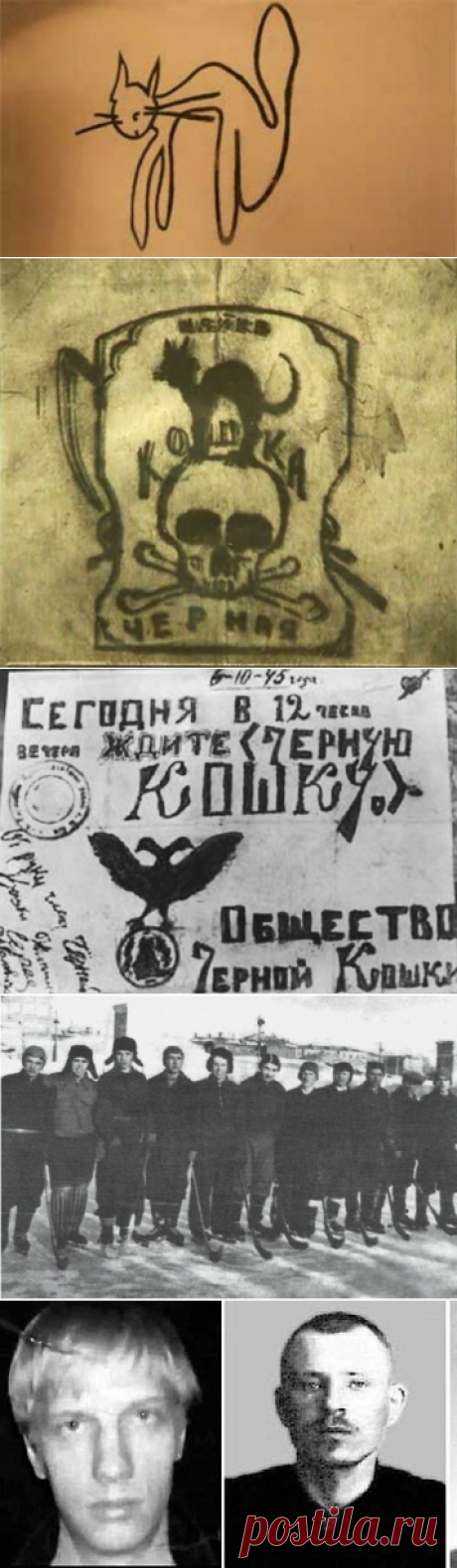 Засекреченная «Черная кошка»: почему дело самой таинственной банды послевоенного времени было под грифом «Секретно» | Знаете ли вы, что... | Яндекс Дзен